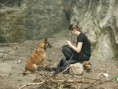 /album/belgicky-ovcak-malinois/assis29-jpg/